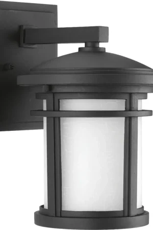 Markdown Progress P6084-31 Wish Collection One-Light Small Wall Lantern