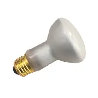 Halco 9110 30W R20 FL 130V HALCO Secure Checkout