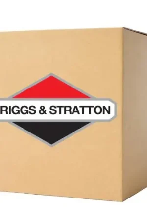 Authentic Briggs Stratton 394693 Kit-carb Overhaul