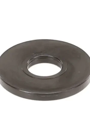Luxury WASHER for Carpigiani Replacement IC596110224