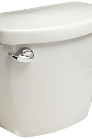Budget ZURN Z5535/45/55-TNK EcoVantage 1.28 GPF Toilet Tank